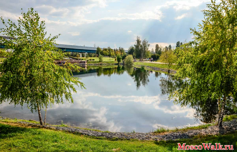 Парк Нижний Гавриковский пруд 
