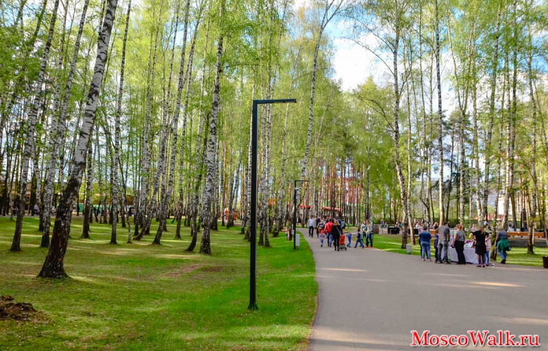 отдых в парке города Домодедово