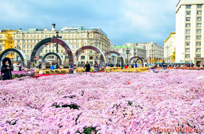 Фестиваль цветов в Москве