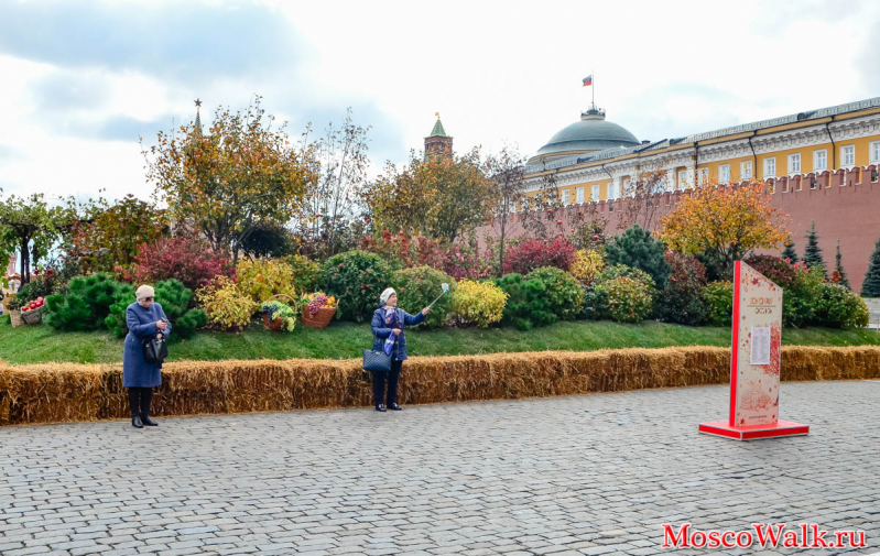 Золотая осень на Красной площади