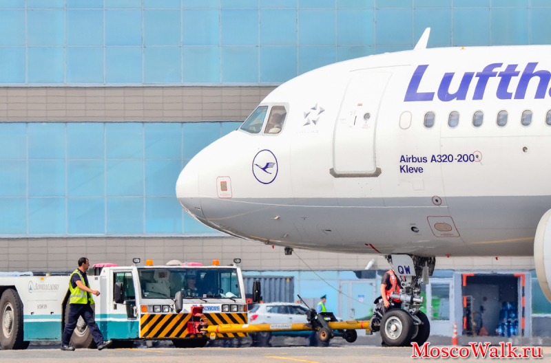  Lufthansa в Домодедово