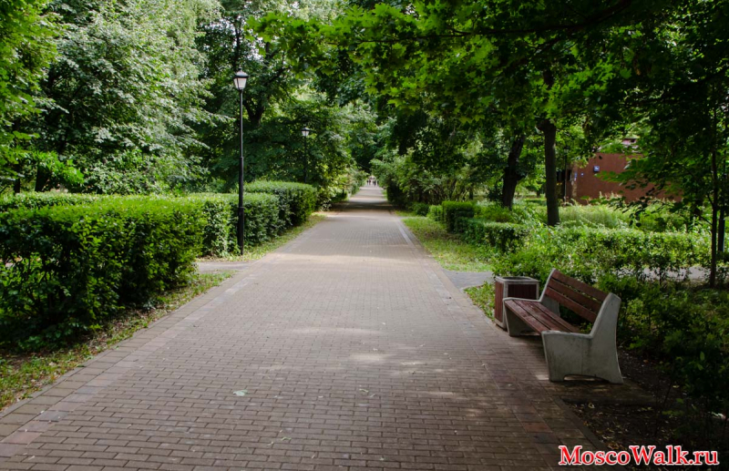 Парк Березовая Роща в Хорошевском районе Москвы
