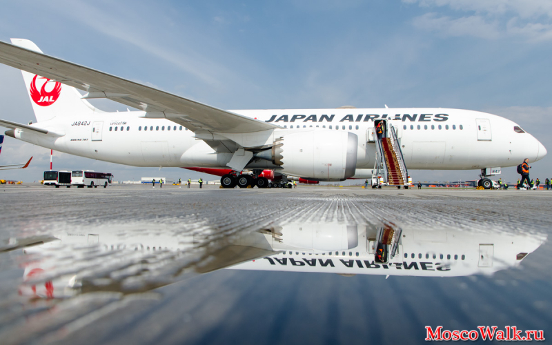 Japan Airlines открыла прямые рейсы из Шереметьево в аэропорт Ханеда