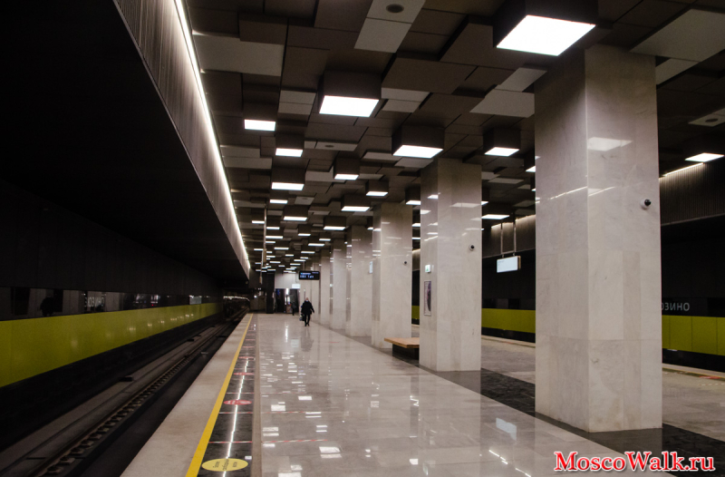 станция метро Зюзино