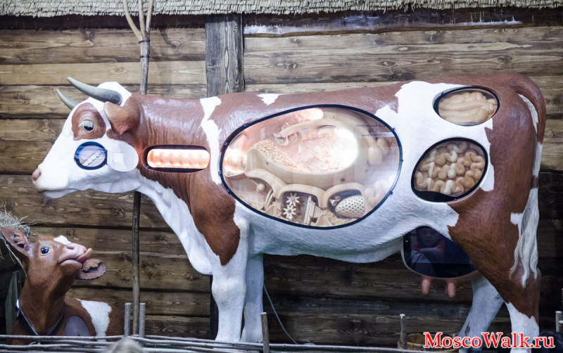 макет коровы в музее сырка