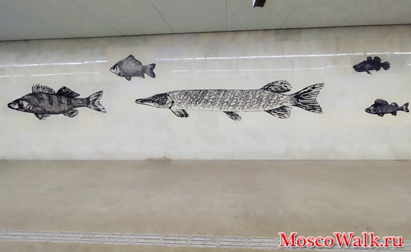 Мозаика рыб на станции Нагатинский затон