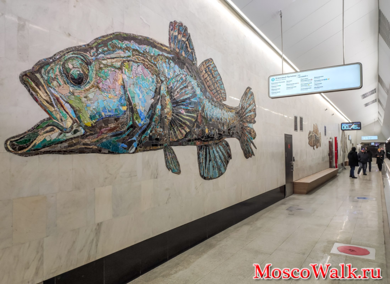 Рыбы на станции метро Нагатинский Затон