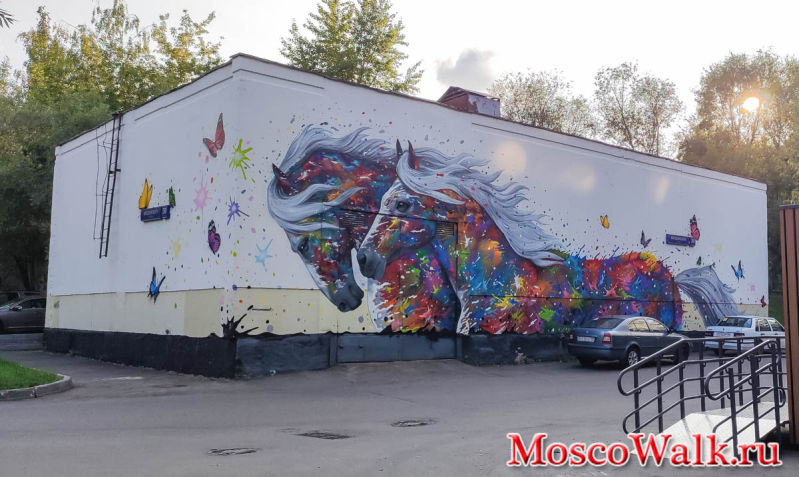 граффити лошадок