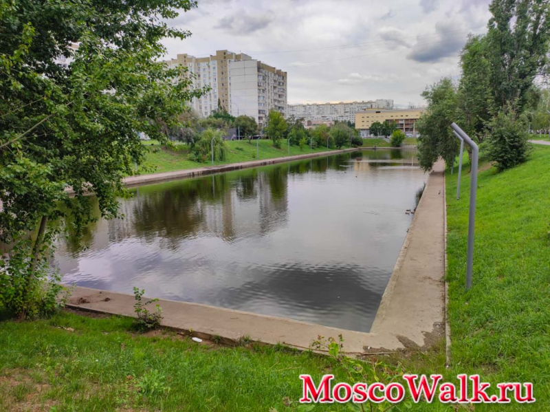Пруд в Марьино