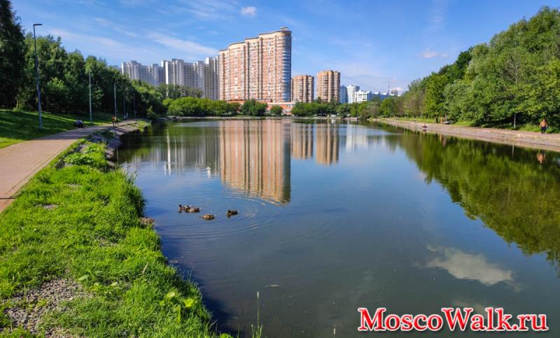 рыбалка на Большом Солнцевском пруду