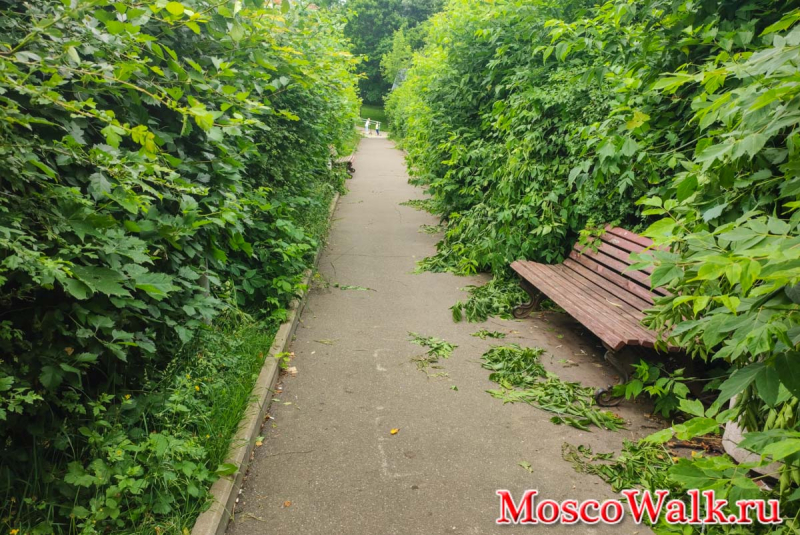 тропинка в Парке 30-летия Победы