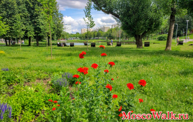 Отдых на Красном пруду Чертаново