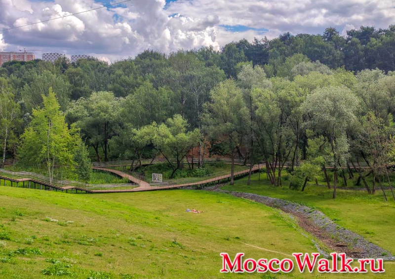 овраг в парке Сосенки