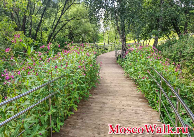 Парк Сосенки в районе Котловка
