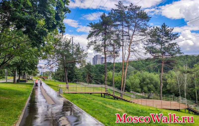 прогулка по парку Сосенки