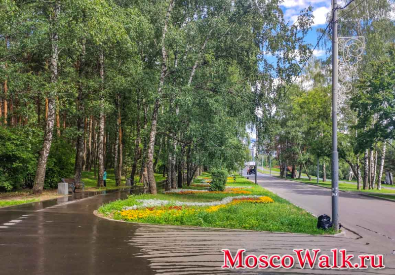 Парк «Сосенки»