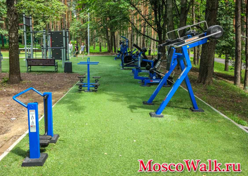 занятие спортом в парке Сосенки