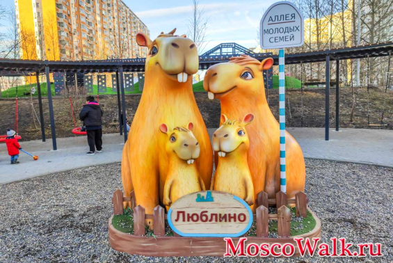 Аллея молодых семей
