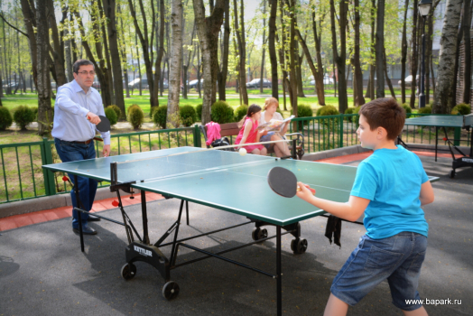 настольный теннис в Бабушкинском парке
